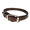 dog collar